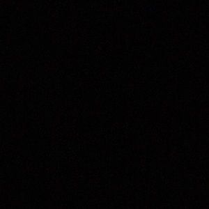 Meet your Posher, Daisy